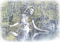 Swan Lake Fine Art Print