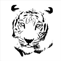 Tiger Fine Art Print