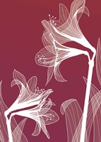 X-ray Flowers Red Fine Art Print