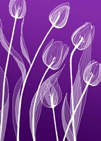 X-ray Flowers Purple Fine Art Print