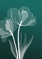 X-ray Flowers Green Fine Art Print