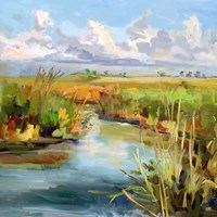 Afternoon Skies Fine Art Print