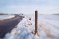 Walking on the Edge of Winter Fine Art Print
