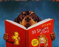 50 Scents of Grey Fine Art Print