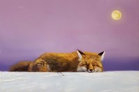 Dreamweaver Fine Art Print