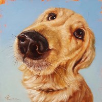 Follow Your Nose 4 Fine Art Print