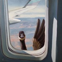 Friendly Skies Fine Art Print