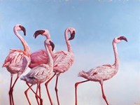 Pink Ladies Fine Art Print