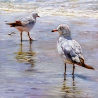 Waders Fine Art Print