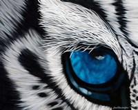 Tiger Eye Fine Art Print