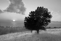 Spitler Knoll Overlook Fine Art Print