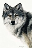 Silent Watch Fine Art Print