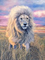 Timbavati Messenger Fine Art Print