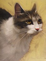 Derby Cat Fine Art Print