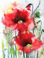 Red Poppies Fine Art Print