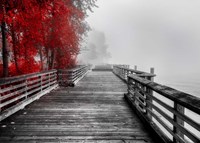 Fall Walkway Fine Art Print