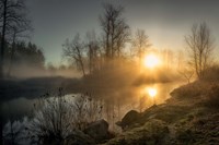 New Day Pitt Meadow Fine Art Print