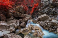 Othello Tunnels Fine Art Print