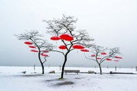 Red Umbrellas Fine Art Print