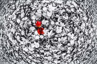 Together Fine Art Print