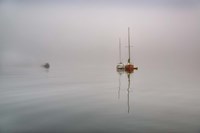 Tranquility II Fine Art Print