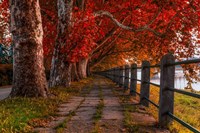 Walk by the River Fine Art Print