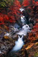 Water in the Fall Fine Art Print