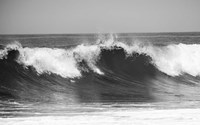 Wave BW Fine Art Print