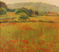 Amapolas III Fine Art Print