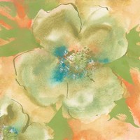 Olive Poppy I Fine Art Print