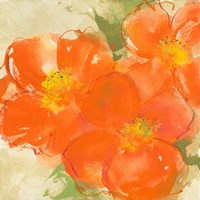 Tangerine Poppies II Framed Print