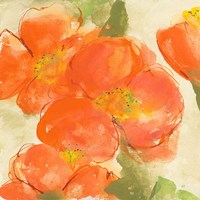 Tangerine Poppies I Fine Art Print