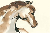 Horse Head I Framed Print