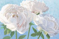 Essence of June I Fine Art Print