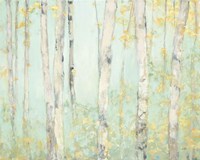 Spring Birches Fine Art Print