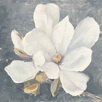 Serene Magnolia Gray Fine Art Print