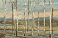 Silver Forest Fine Art Print