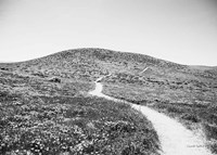 Road Trip V Crop Fine Art Print