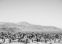 Road Trip IV Crop Fine Art Print