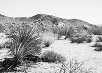 Road Trip II Crop Fine Art Print