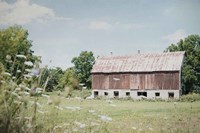 Sun Drenched IV Fine Art Print