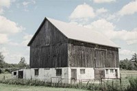 Weathered IV Fine Art Print