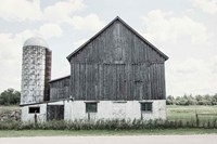 Weathered III Fine Art Print