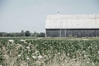 Weathered I Fine Art Print