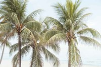 By the Sea II Fine Art Print