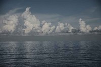 Into the Deep II Fine Art Print