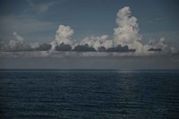 Into the Deep I Fine Art Print