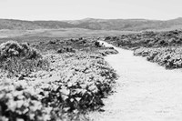 Road Trip VI Fine Art Print