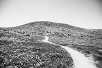 Road Trip V Fine Art Print