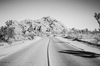 Road Trip I Fine Art Print